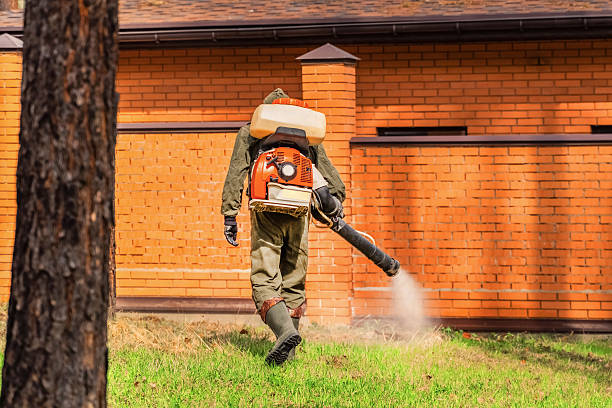 Bed Bug Clearance Verification and Documentation in Ferris